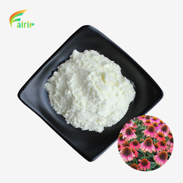 Echinacoside Powder